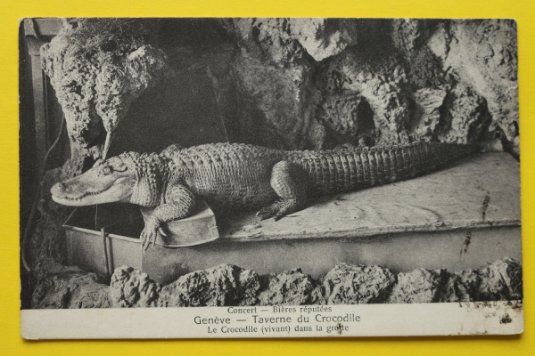 Ansichtskarte AK Genf / Taverne du Crocodile / 1905-1915 / Krokodil – Grotte – Restaurant